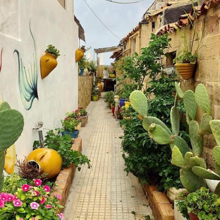 Casa Maritri Locazione Turistica 호텔 마르자메미 외부 사진