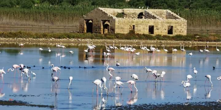Casa Maritri Locazione Turistica 호텔 마르자메미 외부 사진